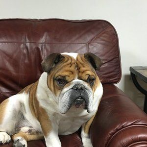 Meet your Posher, Posh